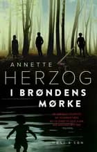 I brøndens mørke af Annette Herzog