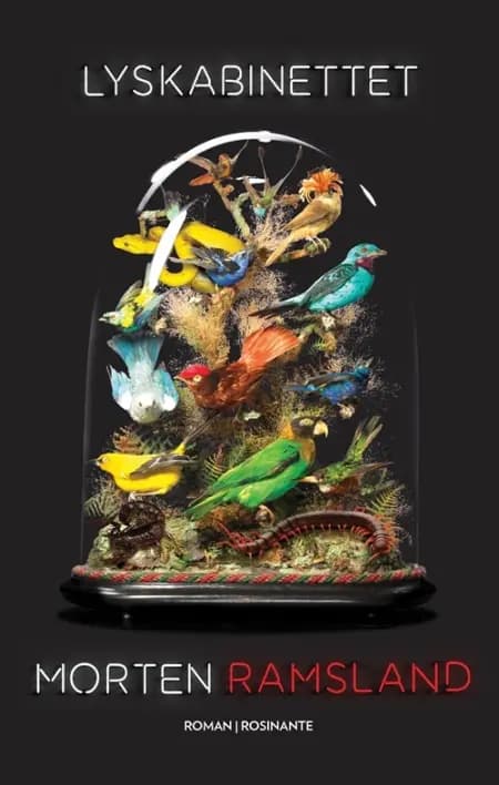 Lyskabinettet af Morten Ramsland