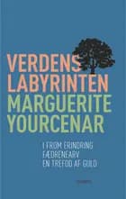 Verdenslabyrinten