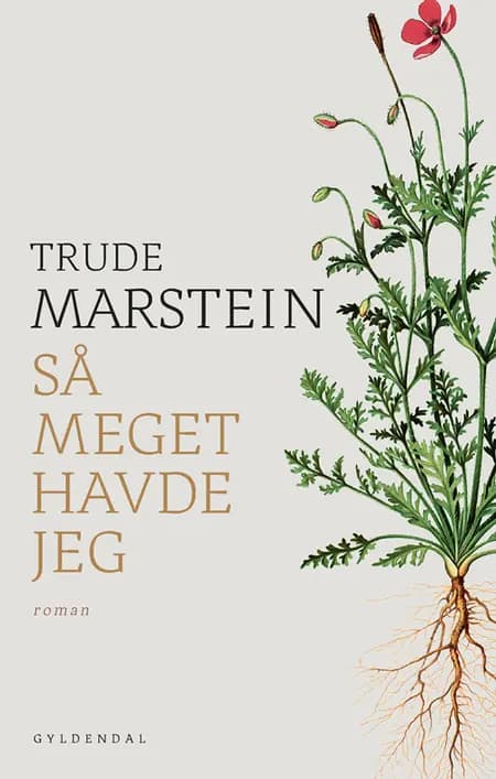 Så meget havde jeg af Trude Marstein