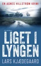 Liget i lyngen af Lars Kjædegaard