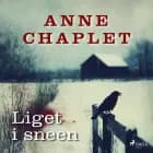 Liget i sneen af Anne Chaplet