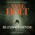Blind gudinde af Anne Holt