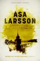Solstorm af Åsa Larsson