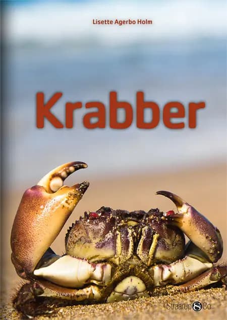 Krabber af Lisette Agerbo Holm