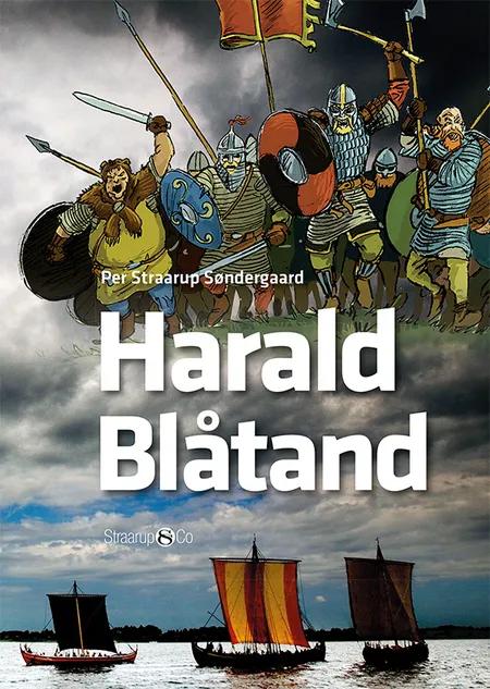 Harald Blåtand af Per Straarup Søndergaard