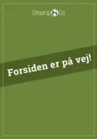 Hollys hemmelighed af Katja Brandis