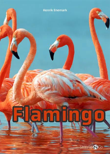 Flamingo af Henrik Enemark