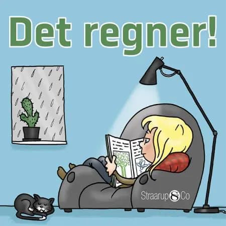 Det regner! (norsk) af Marianne Randel Søndergaard