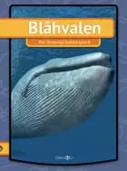Blåhvalen af Per Straarup Søndergaard
