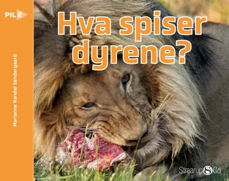 Hva spiser dyrerne? (norsk) af Marianne Randel Søndergaard