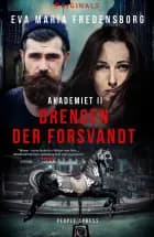 Drengen der forsvandt af Eva Maria Fredensborg