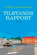 Tilstandsrapport af Knud Simonsen