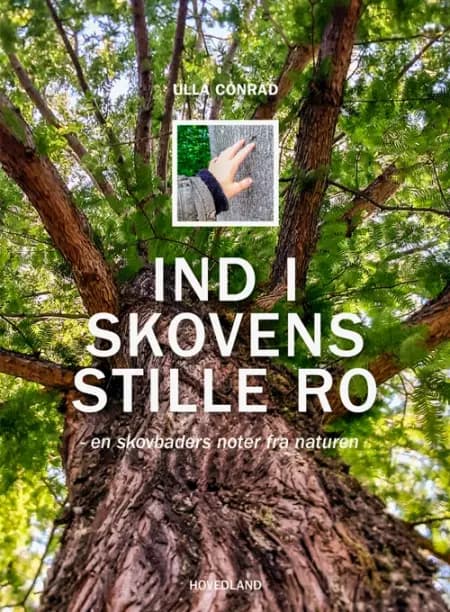Ind i skovens stille ro af Ulla Conrad