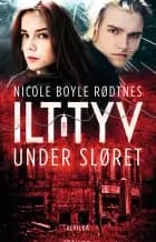 Under sløret af Nicole Boyle Rødtnes