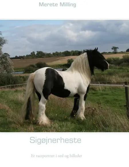 Sigøjnerheste af Merete Milling