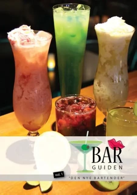 Bar guiden af Karsten Ulstrup Kristensen