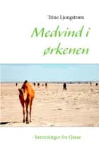 Medvind i ørkenen - beretninger fra Qatar af Trine Ljungstrøm
