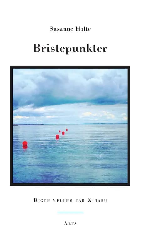 Bristepunkter af Susanne Holte