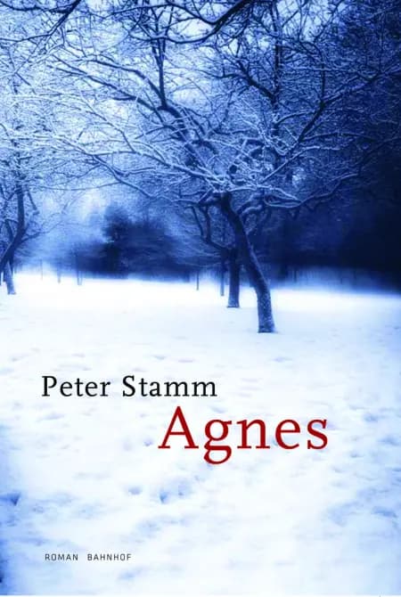 Agnes af Peter Stamm