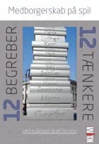 Medborgerskab på spil af Keld Skovmand og Lakshmi Sigurdsson