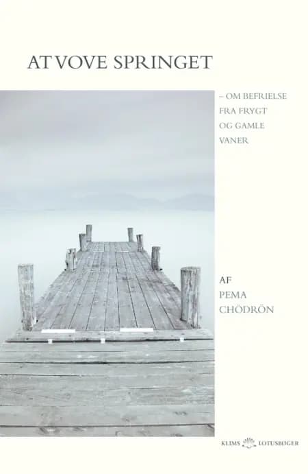 At vove springet af Pema Chödrön