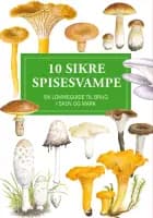 10 sikre spisesvampe af Anna-Elise Torkelsen