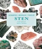 Sten af Dagfinn Trømborg og Frode Andersen