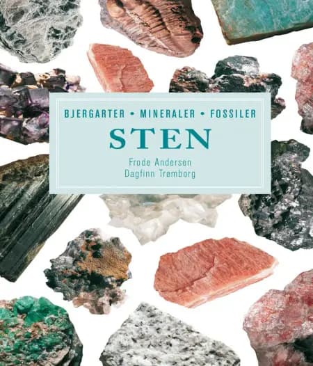 STEN af Frode Andersen