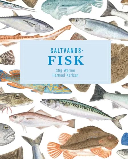 Saltvandsfisk af Stig Werner