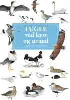 Fugle ved kyst og strand af Louise Imer Nabe-Nielsen