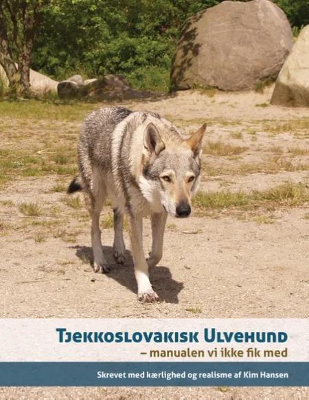 Tjekkoslovakisk ulvehund af Kim Hansen