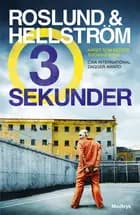 Tre sekunder af Anders Roslund og Börge Hellström