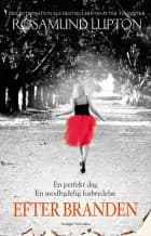 Efter branden af Rosamund Lupton
