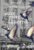 Intet mere illusorisk af Marta Pérez-Carbonell