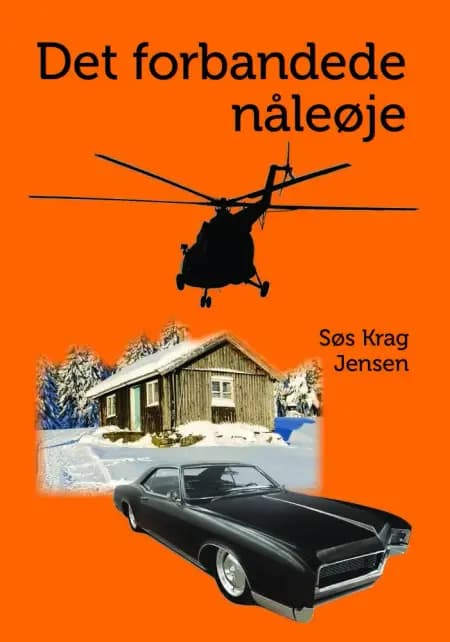 Det forbandede nåleøje af Søs Krag Jensen
