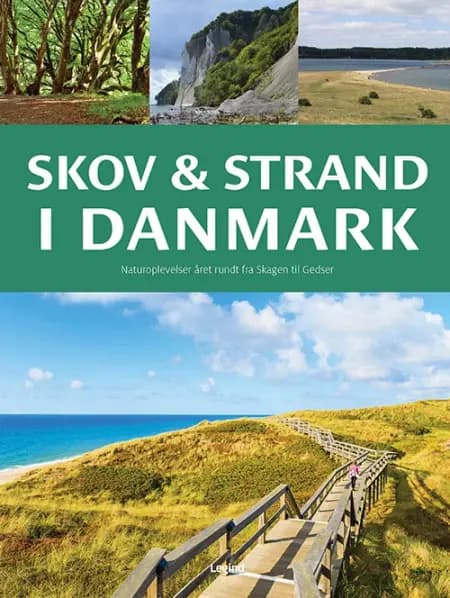 Skov og strand i Danmark af Søren Olsen