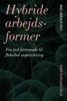 Hybride arbejdsformer af Rikke Lindekilde