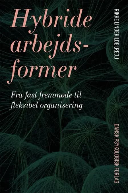 Hybride arbejdsformer af Rikke Lindekilde
