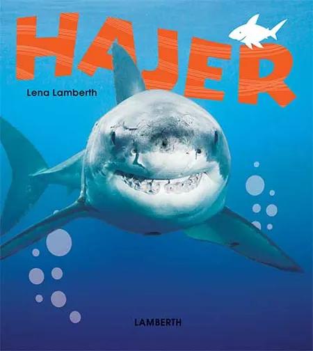 Hajer af Lena Lamberth