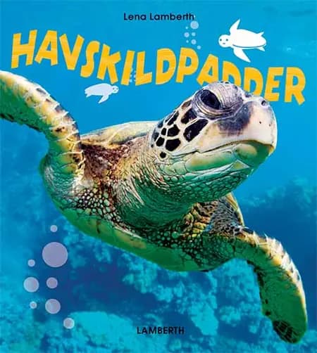 Havskildpadder af Lena Lamberth