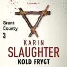Kold frygt af Karin Slaughter