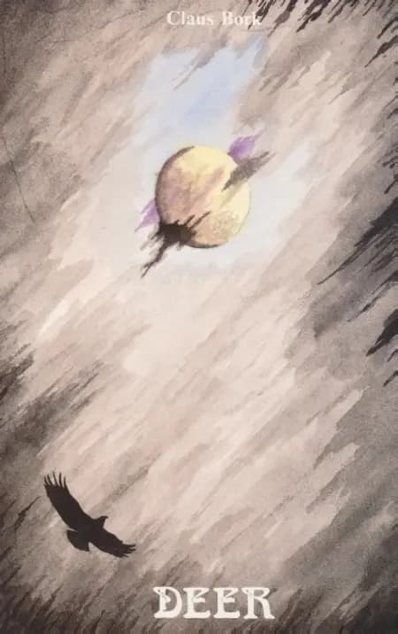 Deer af Claus Bork