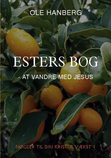 Esters Bog af Ole Hanberg