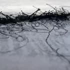 Sammenfiltret af Eleanor Havsteen-Franklin og Line Esbjørn