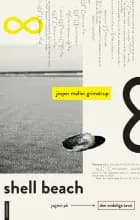 Shell Beach: Jagten på den endelige teori af Jesper Møller Grimstrup