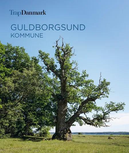Trap Danmark: Guldborgsund Kommune af Trap Danmark