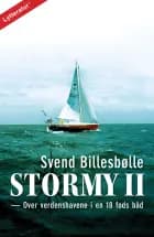 Stormy II af Svend Billesbølle