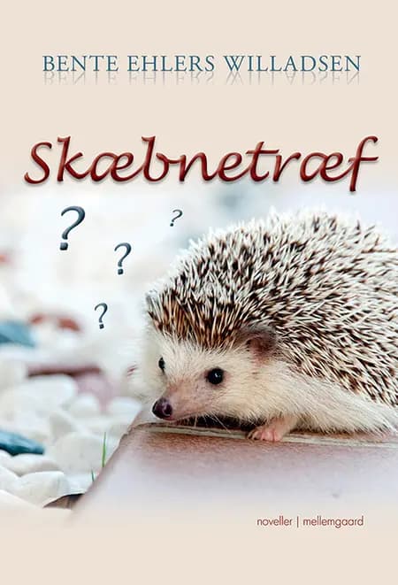 Skæbnetræf af Bente Ehlers Willadsen