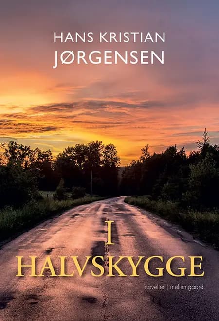 I halvskygge af Hans Kristian Jørgensen